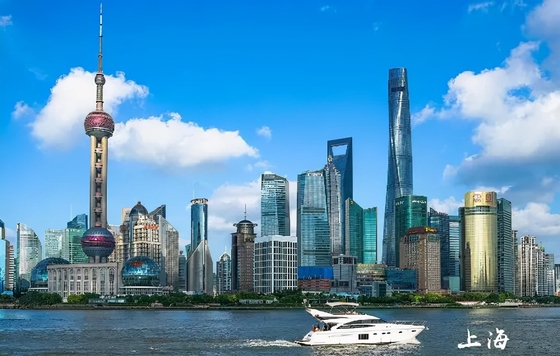 SHANGHAI Proof Of Non Criminal Record PDF Word Excel PowerPoint Document