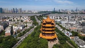Online / Offline Certificate Of No Criminal Conviction WUHAN Proof Of No Criminal Record